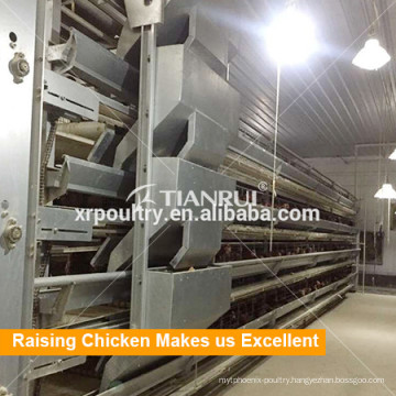 Tianrui New Raising Equipment H Frame Automatic Broiler Cage System